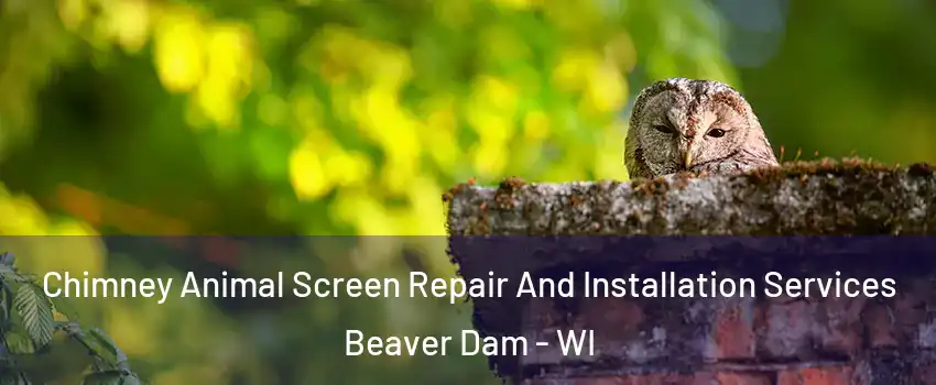  Chimney Animal Screen Repair And Installation Services Beaver Dam - WI