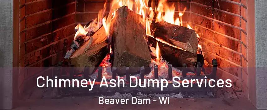  Chimney Ash Dump Services Beaver Dam - WI
