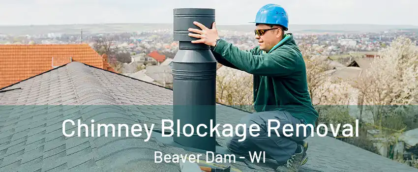  Chimney Blockage Removal Beaver Dam - WI