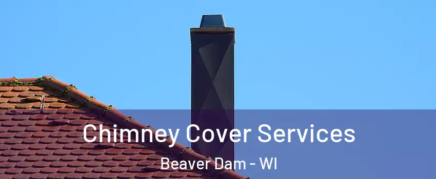  Chimney Cover Services Beaver Dam - WI