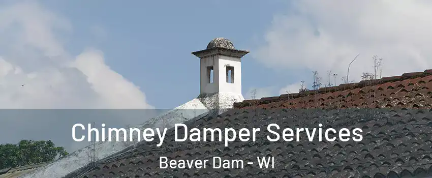  Chimney Damper Services Beaver Dam - WI