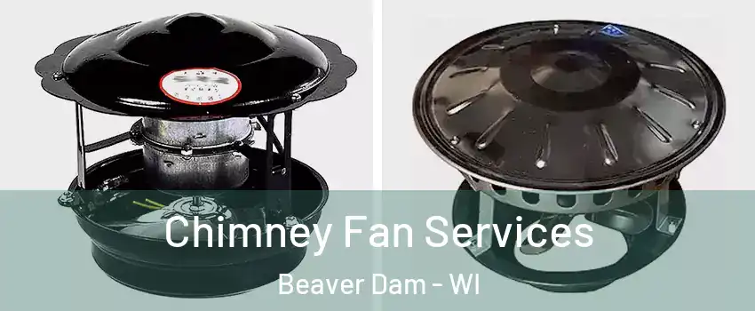  Chimney Fan Services Beaver Dam - WI