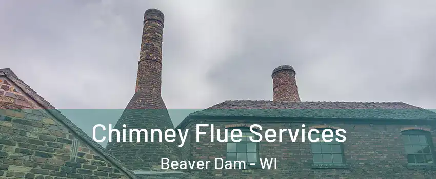  Chimney Flue Services Beaver Dam - WI