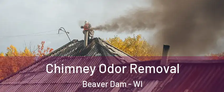  Chimney Odor Removal Beaver Dam - WI
