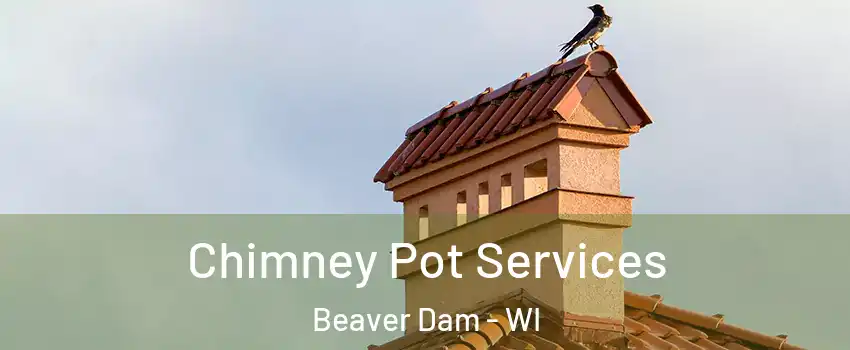  Chimney Pot Services Beaver Dam - WI