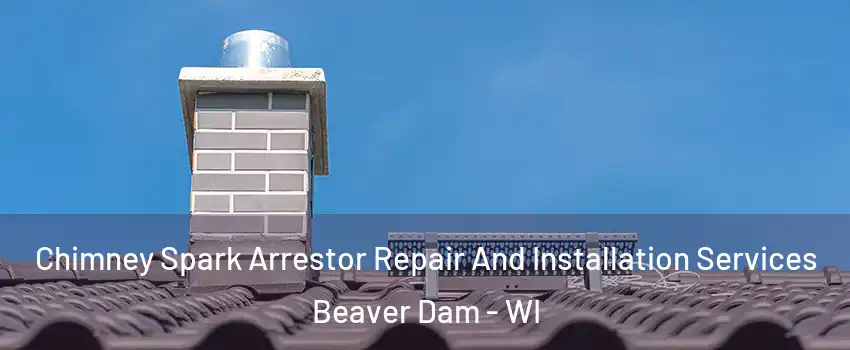 Chimney Spark Arrestor Repair And Installation Services Beaver Dam - WI