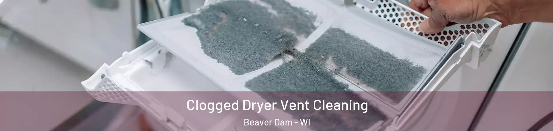  Clogged Dryer Vent Cleaning Beaver Dam - WI