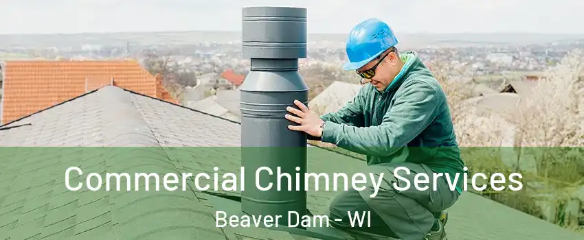 Commercial Chimney Services Beaver Dam - WI