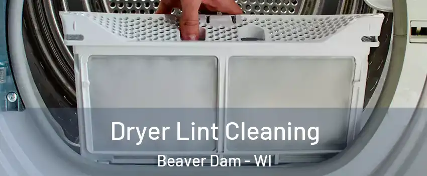  Dryer Lint Cleaning Beaver Dam - WI