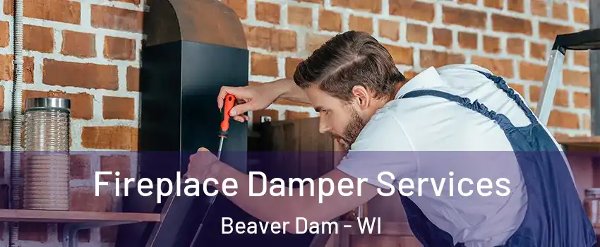  Fireplace Damper Services Beaver Dam - WI