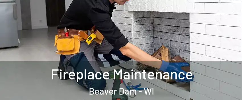  Fireplace Maintenance Beaver Dam - WI