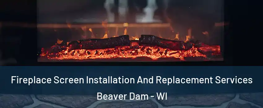  Fireplace Screen Installation And Replacement Services Beaver Dam - WI