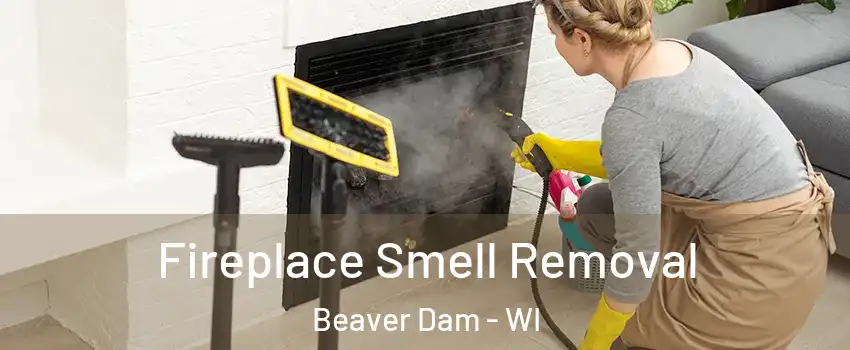  Fireplace Smell Removal Beaver Dam - WI