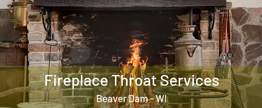  Fireplace Throat Services Beaver Dam - WI