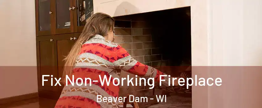  Fix Non-Working Fireplace Beaver Dam - WI