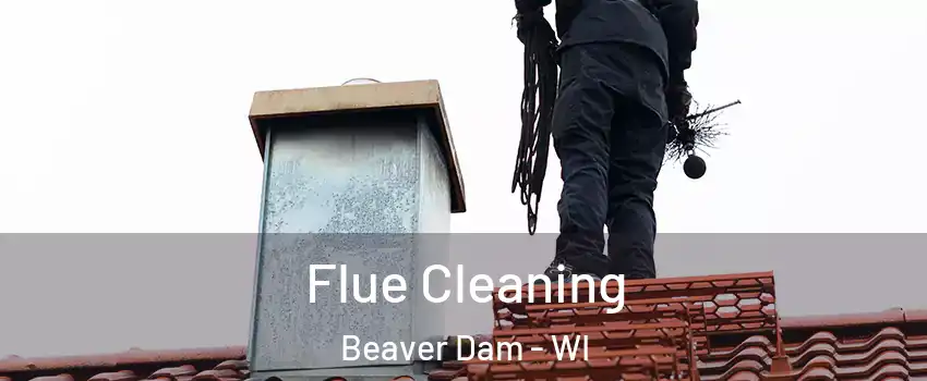  Flue Cleaning Beaver Dam - WI