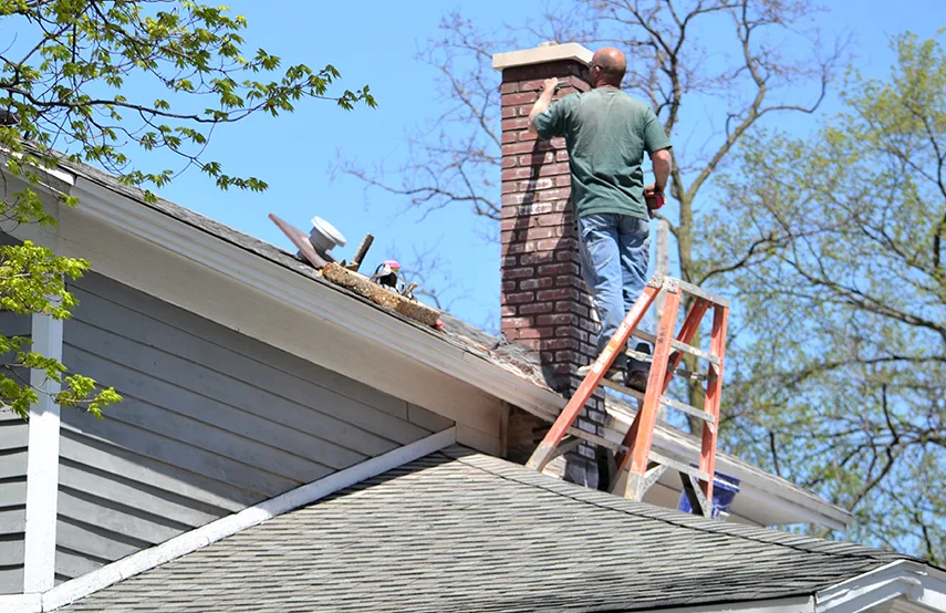 Chimney & Fireplace Inspections Services in Beaver Dam, WI