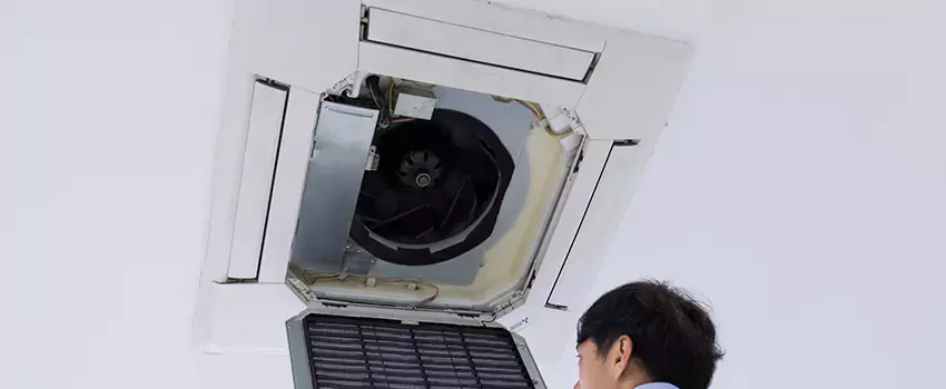 Benefits of Professional Air Duct Cleaning in Beaver Dam, Wisconsin