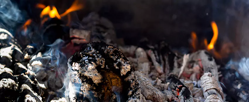 Creosote Removal Experts in Beaver Dam, WI