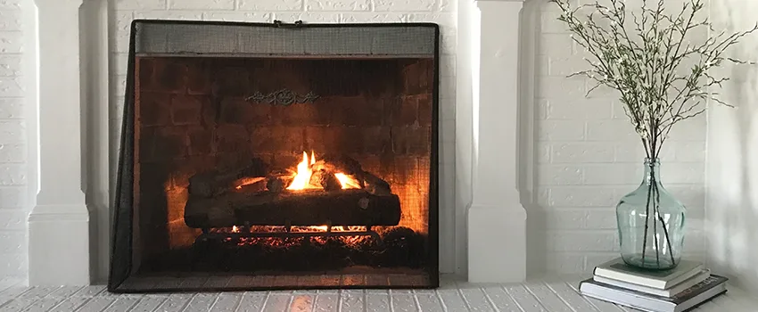 Cost-Effective Fireplace Mantel Inspection And Maintenance in Beaver Dam, WI