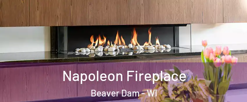 Napoleon Fireplace Beaver Dam - WI