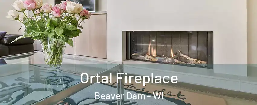  Ortal Fireplace Beaver Dam - WI