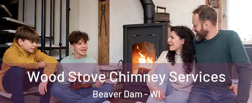 Wood Stove Chimney Services Beaver Dam - WI