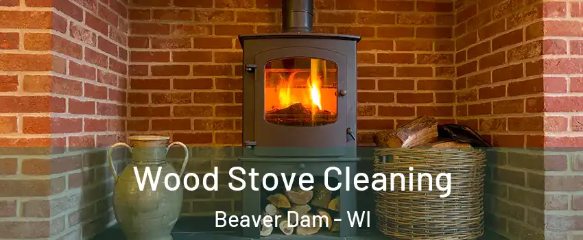 Wood Stove Cleaning Beaver Dam - WI